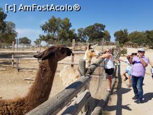 [P14] Friguia Park Tunisia » foto by nicole33
 - 
<span class="allrVoted glyphicon glyphicon-heart hidden" id="av1343501"></span>
<a class="m-l-10 hidden" id="sv1343501" onclick="voting_Foto_DelVot(,1343501,6402)" role="button">șterge vot <span class="glyphicon glyphicon-remove"></span></a>
<a id="v91343501" class=" c-red"  onclick="voting_Foto_SetVot(1343501)" role="button"><span class="glyphicon glyphicon-heart-empty"></span> <b>LIKE</b> = Votează poza</a> <img class="hidden"  id="f1343501W9" src="/imagini/loader.gif" border="0" /><span class="AjErrMes hidden" id="e1343501ErM"></span>
