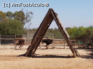 [P20] Friguia Park Tunisia » foto by nicole33
 - 
<span class="allrVoted glyphicon glyphicon-heart hidden" id="av1343507"></span>
<a class="m-l-10 hidden" id="sv1343507" onclick="voting_Foto_DelVot(,1343507,6402)" role="button">șterge vot <span class="glyphicon glyphicon-remove"></span></a>
<a id="v91343507" class=" c-red"  onclick="voting_Foto_SetVot(1343507)" role="button"><span class="glyphicon glyphicon-heart-empty"></span> <b>LIKE</b> = Votează poza</a> <img class="hidden"  id="f1343507W9" src="/imagini/loader.gif" border="0" /><span class="AjErrMes hidden" id="e1343507ErM"></span>