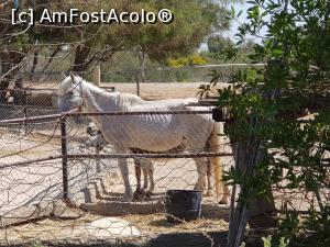 [P23] Friguia Park Tunisia » foto by nicole33
 - 
<span class="allrVoted glyphicon glyphicon-heart hidden" id="av1343510"></span>
<a class="m-l-10 hidden" id="sv1343510" onclick="voting_Foto_DelVot(,1343510,6402)" role="button">șterge vot <span class="glyphicon glyphicon-remove"></span></a>
<a id="v91343510" class=" c-red"  onclick="voting_Foto_SetVot(1343510)" role="button"><span class="glyphicon glyphicon-heart-empty"></span> <b>LIKE</b> = Votează poza</a> <img class="hidden"  id="f1343510W9" src="/imagini/loader.gif" border="0" /><span class="AjErrMes hidden" id="e1343510ErM"></span>
