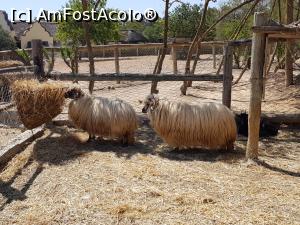 [P24] Friguia Park Tunisia » foto by nicole33
 - 
<span class="allrVoted glyphicon glyphicon-heart hidden" id="av1343511"></span>
<a class="m-l-10 hidden" id="sv1343511" onclick="voting_Foto_DelVot(,1343511,6402)" role="button">șterge vot <span class="glyphicon glyphicon-remove"></span></a>
<a id="v91343511" class=" c-red"  onclick="voting_Foto_SetVot(1343511)" role="button"><span class="glyphicon glyphicon-heart-empty"></span> <b>LIKE</b> = Votează poza</a> <img class="hidden"  id="f1343511W9" src="/imagini/loader.gif" border="0" /><span class="AjErrMes hidden" id="e1343511ErM"></span>