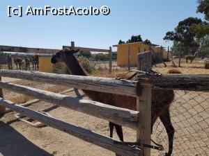 [P50] Friguia Park Tunisia » foto by nicole33
 - 
<span class="allrVoted glyphicon glyphicon-heart hidden" id="av1343537"></span>
<a class="m-l-10 hidden" id="sv1343537" onclick="voting_Foto_DelVot(,1343537,6402)" role="button">șterge vot <span class="glyphicon glyphicon-remove"></span></a>
<a id="v91343537" class=" c-red"  onclick="voting_Foto_SetVot(1343537)" role="button"><span class="glyphicon glyphicon-heart-empty"></span> <b>LIKE</b> = Votează poza</a> <img class="hidden"  id="f1343537W9" src="/imagini/loader.gif" border="0" /><span class="AjErrMes hidden" id="e1343537ErM"></span>