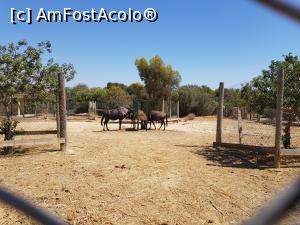 [P60] Friguia Park Tunisia » foto by nicole33
 - 
<span class="allrVoted glyphicon glyphicon-heart hidden" id="av1343547"></span>
<a class="m-l-10 hidden" id="sv1343547" onclick="voting_Foto_DelVot(,1343547,6402)" role="button">șterge vot <span class="glyphicon glyphicon-remove"></span></a>
<a id="v91343547" class=" c-red"  onclick="voting_Foto_SetVot(1343547)" role="button"><span class="glyphicon glyphicon-heart-empty"></span> <b>LIKE</b> = Votează poza</a> <img class="hidden"  id="f1343547W9" src="/imagini/loader.gif" border="0" /><span class="AjErrMes hidden" id="e1343547ErM"></span>