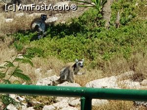 [P07] Friguia Park Tunisia » foto by nicole33
 - 
<span class="allrVoted glyphicon glyphicon-heart hidden" id="av1343494"></span>
<a class="m-l-10 hidden" id="sv1343494" onclick="voting_Foto_DelVot(,1343494,6402)" role="button">șterge vot <span class="glyphicon glyphicon-remove"></span></a>
<a id="v91343494" class=" c-red"  onclick="voting_Foto_SetVot(1343494)" role="button"><span class="glyphicon glyphicon-heart-empty"></span> <b>LIKE</b> = Votează poza</a> <img class="hidden"  id="f1343494W9" src="/imagini/loader.gif" border="0" /><span class="AjErrMes hidden" id="e1343494ErM"></span>