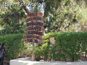 [P71] Friguia Park Tunisia - indicatoare din parcul zoo » foto by nicole33
 - 
<span class="allrVoted glyphicon glyphicon-heart hidden" id="av1343558"></span>
<a class="m-l-10 hidden" id="sv1343558" onclick="voting_Foto_DelVot(,1343558,6402)" role="button">șterge vot <span class="glyphicon glyphicon-remove"></span></a>
<a id="v91343558" class=" c-red"  onclick="voting_Foto_SetVot(1343558)" role="button"><span class="glyphicon glyphicon-heart-empty"></span> <b>LIKE</b> = Votează poza</a> <img class="hidden"  id="f1343558W9" src="/imagini/loader.gif" border="0" /><span class="AjErrMes hidden" id="e1343558ErM"></span>