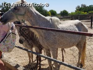 [P90] Friguia Park Tunisia » foto by nicole33
 - 
<span class="allrVoted glyphicon glyphicon-heart hidden" id="av1343577"></span>
<a class="m-l-10 hidden" id="sv1343577" onclick="voting_Foto_DelVot(,1343577,6402)" role="button">șterge vot <span class="glyphicon glyphicon-remove"></span></a>
<a id="v91343577" class=" c-red"  onclick="voting_Foto_SetVot(1343577)" role="button"><span class="glyphicon glyphicon-heart-empty"></span> <b>LIKE</b> = Votează poza</a> <img class="hidden"  id="f1343577W9" src="/imagini/loader.gif" border="0" /><span class="AjErrMes hidden" id="e1343577ErM"></span>