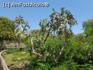 [P93] Friguia Park Tunisia » foto by nicole33
 - 
<span class="allrVoted glyphicon glyphicon-heart hidden" id="av1343580"></span>
<a class="m-l-10 hidden" id="sv1343580" onclick="voting_Foto_DelVot(,1343580,6402)" role="button">șterge vot <span class="glyphicon glyphicon-remove"></span></a>
<a id="v91343580" class=" c-red"  onclick="voting_Foto_SetVot(1343580)" role="button"><span class="glyphicon glyphicon-heart-empty"></span> <b>LIKE</b> = Votează poza</a> <img class="hidden"  id="f1343580W9" src="/imagini/loader.gif" border="0" /><span class="AjErrMes hidden" id="e1343580ErM"></span>