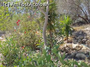 [P94] Friguia Park Tunisia » foto by nicole33
 - 
<span class="allrVoted glyphicon glyphicon-heart hidden" id="av1343581"></span>
<a class="m-l-10 hidden" id="sv1343581" onclick="voting_Foto_DelVot(,1343581,6402)" role="button">șterge vot <span class="glyphicon glyphicon-remove"></span></a>
<a id="v91343581" class=" c-red"  onclick="voting_Foto_SetVot(1343581)" role="button"><span class="glyphicon glyphicon-heart-empty"></span> <b>LIKE</b> = Votează poza</a> <img class="hidden"  id="f1343581W9" src="/imagini/loader.gif" border="0" /><span class="AjErrMes hidden" id="e1343581ErM"></span>
