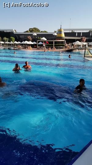 [P01] Cam asta era aglomerația din piscina. » foto by Iuliana7
 - 
<span class="allrVoted glyphicon glyphicon-heart hidden" id="av1177607"></span>
<a class="m-l-10 hidden" id="sv1177607" onclick="voting_Foto_DelVot(,1177607,6437)" role="button">șterge vot <span class="glyphicon glyphicon-remove"></span></a>
<a id="v91177607" class=" c-red"  onclick="voting_Foto_SetVot(1177607)" role="button"><span class="glyphicon glyphicon-heart-empty"></span> <b>LIKE</b> = Votează poza</a> <img class="hidden"  id="f1177607W9" src="/imagini/loader.gif" border="0" /><span class="AjErrMes hidden" id="e1177607ErM"></span>