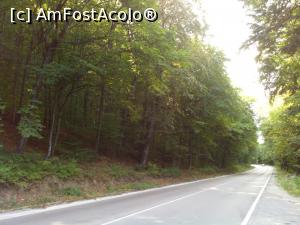 [P02] Pe aici am facut pauza de sandvis in Bulgaria » foto by Yoda
 - 
<span class="allrVoted glyphicon glyphicon-heart hidden" id="av1280775"></span>
<a class="m-l-10 hidden" id="sv1280775" onclick="voting_Foto_DelVot(,1280775,6437)" role="button">șterge vot <span class="glyphicon glyphicon-remove"></span></a>
<a id="v91280775" class=" c-red"  onclick="voting_Foto_SetVot(1280775)" role="button"><span class="glyphicon glyphicon-heart-empty"></span> <b>LIKE</b> = Votează poza</a> <img class="hidden"  id="f1280775W9" src="/imagini/loader.gif" border="0" /><span class="AjErrMes hidden" id="e1280775ErM"></span>