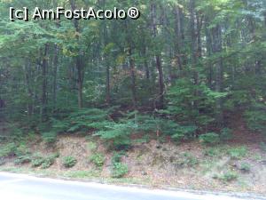 [P04] Pe aici am facut pauza de sandvis in Bulgaria » foto by Yoda
 - 
<span class="allrVoted glyphicon glyphicon-heart hidden" id="av1280777"></span>
<a class="m-l-10 hidden" id="sv1280777" onclick="voting_Foto_DelVot(,1280777,6437)" role="button">șterge vot <span class="glyphicon glyphicon-remove"></span></a>
<a id="v91280777" class=" c-red"  onclick="voting_Foto_SetVot(1280777)" role="button"><span class="glyphicon glyphicon-heart-empty"></span> <b>LIKE</b> = Votează poza</a> <img class="hidden"  id="f1280777W9" src="/imagini/loader.gif" border="0" /><span class="AjErrMes hidden" id="e1280777ErM"></span>