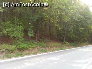 [P05] Pe aici am facut pauza de sandvis in Bulgaria » foto by Yoda
 - 
<span class="allrVoted glyphicon glyphicon-heart hidden" id="av1280778"></span>
<a class="m-l-10 hidden" id="sv1280778" onclick="voting_Foto_DelVot(,1280778,6437)" role="button">șterge vot <span class="glyphicon glyphicon-remove"></span></a>
<a id="v91280778" class=" c-red"  onclick="voting_Foto_SetVot(1280778)" role="button"><span class="glyphicon glyphicon-heart-empty"></span> <b>LIKE</b> = Votează poza</a> <img class="hidden"  id="f1280778W9" src="/imagini/loader.gif" border="0" /><span class="AjErrMes hidden" id="e1280778ErM"></span>