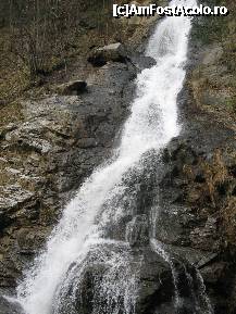 [P17] Cascada Lotrisor in toata splendoarea ei. » foto by ninaa
 - 
<span class="allrVoted glyphicon glyphicon-heart hidden" id="av169012"></span>
<a class="m-l-10 hidden" id="sv169012" onclick="voting_Foto_DelVot(,169012,6480)" role="button">șterge vot <span class="glyphicon glyphicon-remove"></span></a>
<a id="v9169012" class=" c-red"  onclick="voting_Foto_SetVot(169012)" role="button"><span class="glyphicon glyphicon-heart-empty"></span> <b>LIKE</b> = Votează poza</a> <img class="hidden"  id="f169012W9" src="/imagini/loader.gif" border="0" /><span class="AjErrMes hidden" id="e169012ErM"></span>