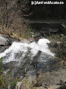 [P21] Cascada Lotrisor vazuta de sus. » foto by ninaa
 - 
<span class="allrVoted glyphicon glyphicon-heart hidden" id="av169016"></span>
<a class="m-l-10 hidden" id="sv169016" onclick="voting_Foto_DelVot(,169016,6480)" role="button">șterge vot <span class="glyphicon glyphicon-remove"></span></a>
<a id="v9169016" class=" c-red"  onclick="voting_Foto_SetVot(169016)" role="button"><span class="glyphicon glyphicon-heart-empty"></span> <b>LIKE</b> = Votează poza</a> <img class="hidden"  id="f169016W9" src="/imagini/loader.gif" border="0" /><span class="AjErrMes hidden" id="e169016ErM"></span>