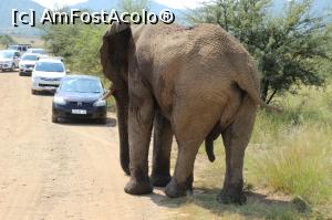 [P20] Masculul Alfa, fioros și dominant, care va reapărea în review-ul următor...  » foto by glcitizen
 - 
<span class="allrVoted glyphicon glyphicon-heart hidden" id="av1072897"></span>
<a class="m-l-10 hidden" id="sv1072897" onclick="voting_Foto_DelVot(,1072897,6488)" role="button">șterge vot <span class="glyphicon glyphicon-remove"></span></a>
<a id="v91072897" class=" c-red"  onclick="voting_Foto_SetVot(1072897)" role="button"><span class="glyphicon glyphicon-heart-empty"></span> <b>LIKE</b> = Votează poza</a> <img class="hidden"  id="f1072897W9" src="/imagini/loader.gif" border="0" /><span class="AjErrMes hidden" id="e1072897ErM"></span>