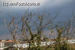 [P12] Natura îți oferă scenarii mișcătoare.  » foto by glcitizen
 - 
<span class="allrVoted glyphicon glyphicon-heart hidden" id="av1074743"></span>
<a class="m-l-10 hidden" id="sv1074743" onclick="voting_Foto_DelVot(,1074743,6488)" role="button">șterge vot <span class="glyphicon glyphicon-remove"></span></a>
<a id="v91074743" class=" c-red"  onclick="voting_Foto_SetVot(1074743)" role="button"><span class="glyphicon glyphicon-heart-empty"></span> <b>LIKE</b> = Votează poza</a> <img class="hidden"  id="f1074743W9" src="/imagini/loader.gif" border="0" /><span class="AjErrMes hidden" id="e1074743ErM"></span>