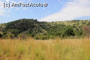 [P08] Peisajul magnific al savanei.  » foto by glcitizen
 - 
<span class="allrVoted glyphicon glyphicon-heart hidden" id="av1074739"></span>
<a class="m-l-10 hidden" id="sv1074739" onclick="voting_Foto_DelVot(,1074739,6488)" role="button">șterge vot <span class="glyphicon glyphicon-remove"></span></a>
<a id="v91074739" class=" c-red"  onclick="voting_Foto_SetVot(1074739)" role="button"><span class="glyphicon glyphicon-heart-empty"></span> <b>LIKE</b> = Votează poza</a> <img class="hidden"  id="f1074739W9" src="/imagini/loader.gif" border="0" /><span class="AjErrMes hidden" id="e1074739ErM"></span>