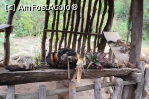 [P10] Plantele magice ale Marelui Vraci așteaptă să-și poducă efectul...  » foto by glcitizen
 - 
<span class="allrVoted glyphicon glyphicon-heart hidden" id="av1104925"></span>
<a class="m-l-10 hidden" id="sv1104925" onclick="voting_Foto_DelVot(,1104925,6488)" role="button">șterge vot <span class="glyphicon glyphicon-remove"></span></a>
<a id="v91104925" class=" c-red"  onclick="voting_Foto_SetVot(1104925)" role="button"><span class="glyphicon glyphicon-heart-empty"></span> <b>LIKE</b> = Votează poza</a> <img class="hidden"  id="f1104925W9" src="/imagini/loader.gif" border="0" /><span class="AjErrMes hidden" id="e1104925ErM"></span>