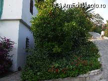 [P02] drumul abrupt catre camerele 1xx si 5xx » foto by Ama
 - 
<span class="allrVoted glyphicon glyphicon-heart hidden" id="av102078"></span>
<a class="m-l-10 hidden" id="sv102078" onclick="voting_Foto_DelVot(,102078,6515)" role="button">șterge vot <span class="glyphicon glyphicon-remove"></span></a>
<a id="v9102078" class=" c-red"  onclick="voting_Foto_SetVot(102078)" role="button"><span class="glyphicon glyphicon-heart-empty"></span> <b>LIKE</b> = Votează poza</a> <img class="hidden"  id="f102078W9" src="/imagini/loader.gif" border="0" /><span class="AjErrMes hidden" id="e102078ErM"></span>