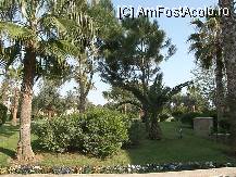 [P13]  -- <small>// FĂRĂ DESCRIERE</small> » foto by gdanutza
 - 
<span class="allrVoted glyphicon glyphicon-heart hidden" id="av101603"></span>
<a class="m-l-10 hidden" id="sv101603" onclick="voting_Foto_DelVot(,101603,6517)" role="button">șterge vot <span class="glyphicon glyphicon-remove"></span></a>
<a id="v9101603" class=" c-red"  onclick="voting_Foto_SetVot(101603)" role="button"><span class="glyphicon glyphicon-heart-empty"></span> <b>LIKE</b> = Votează poza</a> <img class="hidden"  id="f101603W9" src="/imagini/loader.gif" border="0" /><span class="AjErrMes hidden" id="e101603ErM"></span>