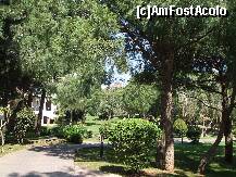 [P46]  -- <small>// FĂRĂ DESCRIERE</small> » foto by gdanutza
 - 
<span class="allrVoted glyphicon glyphicon-heart hidden" id="av194984"></span>
<a class="m-l-10 hidden" id="sv194984" onclick="voting_Foto_DelVot(,194984,6517)" role="button">șterge vot <span class="glyphicon glyphicon-remove"></span></a>
<a id="v9194984" class=" c-red"  onclick="voting_Foto_SetVot(194984)" role="button"><span class="glyphicon glyphicon-heart-empty"></span> <b>LIKE</b> = Votează poza</a> <img class="hidden"  id="f194984W9" src="/imagini/loader.gif" border="0" /><span class="AjErrMes hidden" id="e194984ErM"></span>