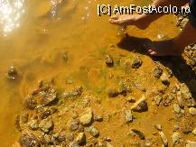 [P44] Iar malurile sunt deosebit de alunecoase » foto by dorgo
 - 
<span class="allrVoted glyphicon glyphicon-heart hidden" id="av102178"></span>
<a class="m-l-10 hidden" id="sv102178" onclick="voting_Foto_DelVot(,102178,6532)" role="button">șterge vot <span class="glyphicon glyphicon-remove"></span></a>
<a id="v9102178" class=" c-red"  onclick="voting_Foto_SetVot(102178)" role="button"><span class="glyphicon glyphicon-heart-empty"></span> <b>LIKE</b> = Votează poza</a> <img class="hidden"  id="f102178W9" src="/imagini/loader.gif" border="0" /><span class="AjErrMes hidden" id="e102178ErM"></span>