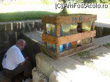 [P50] Pe Insula Harghitei se afla si un izvor cu apa minerala,loc de intalnire pentru satenii din jur » foto by dorgo
 - 
<span class="allrVoted glyphicon glyphicon-heart hidden" id="av102184"></span>
<a class="m-l-10 hidden" id="sv102184" onclick="voting_Foto_DelVot(,102184,6532)" role="button">șterge vot <span class="glyphicon glyphicon-remove"></span></a>
<a id="v9102184" class=" c-red"  onclick="voting_Foto_SetVot(102184)" role="button"><span class="glyphicon glyphicon-heart-empty"></span> <b>LIKE</b> = Votează poza</a> <img class="hidden"  id="f102184W9" src="/imagini/loader.gif" border="0" /><span class="AjErrMes hidden" id="e102184ErM"></span>