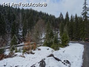 [P20] Pe șoseaua ce duce spre stațiune. » foto by tata123 🔱
 - 
<span class="allrVoted glyphicon glyphicon-heart hidden" id="av1223764"></span>
<a class="m-l-10 hidden" id="sv1223764" onclick="voting_Foto_DelVot(,1223764,6532)" role="button">șterge vot <span class="glyphicon glyphicon-remove"></span></a>
<a id="v91223764" class=" c-red"  onclick="voting_Foto_SetVot(1223764)" role="button"><span class="glyphicon glyphicon-heart-empty"></span> <b>LIKE</b> = Votează poza</a> <img class="hidden"  id="f1223764W9" src="/imagini/loader.gif" border="0" /><span class="AjErrMes hidden" id="e1223764ErM"></span>