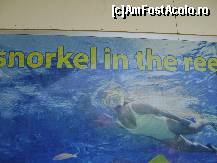 [P19] Dolphin Park Alanya - cine doreste sa stea in preajma rechinilor, acest lucru e posibil la sectiunea Sea Park » foto by biancuta
 - 
<span class="allrVoted glyphicon glyphicon-heart hidden" id="av210133"></span>
<a class="m-l-10 hidden" id="sv210133" onclick="voting_Foto_DelVot(,210133,6591)" role="button">șterge vot <span class="glyphicon glyphicon-remove"></span></a>
<a id="v9210133" class=" c-red"  onclick="voting_Foto_SetVot(210133)" role="button"><span class="glyphicon glyphicon-heart-empty"></span> <b>LIKE</b> = Votează poza</a> <img class="hidden"  id="f210133W9" src="/imagini/loader.gif" border="0" /><span class="AjErrMes hidden" id="e210133ErM"></span>