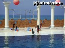 [P06] Dolphin Park Alanya - lei de mare in spectacol » foto by biancuta
 - 
<span class="allrVoted glyphicon glyphicon-heart hidden" id="av210117"></span>
<a class="m-l-10 hidden" id="sv210117" onclick="voting_Foto_DelVot(,210117,6591)" role="button">șterge vot <span class="glyphicon glyphicon-remove"></span></a>
<a id="v9210117" class=" c-red"  onclick="voting_Foto_SetVot(210117)" role="button"><span class="glyphicon glyphicon-heart-empty"></span> <b>LIKE</b> = Votează poza</a> <img class="hidden"  id="f210117W9" src="/imagini/loader.gif" border="0" /><span class="AjErrMes hidden" id="e210117ErM"></span>