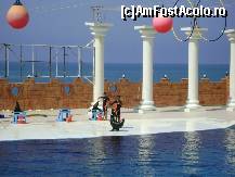 [P07] Dolphin Park Alanya  - lei de mare » foto by biancuta
 - 
<span class="allrVoted glyphicon glyphicon-heart hidden" id="av210118"></span>
<a class="m-l-10 hidden" id="sv210118" onclick="voting_Foto_DelVot(,210118,6591)" role="button">șterge vot <span class="glyphicon glyphicon-remove"></span></a>
<a id="v9210118" class=" c-red"  onclick="voting_Foto_SetVot(210118)" role="button"><span class="glyphicon glyphicon-heart-empty"></span> <b>LIKE</b> = Votează poza</a> <img class="hidden"  id="f210118W9" src="/imagini/loader.gif" border="0" /><span class="AjErrMes hidden" id="e210118ErM"></span>