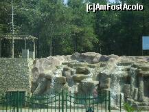 [P17] Alanya - putina racorire la picnic, in padurea de pini » foto by biancuta
 - 
<span class="allrVoted glyphicon glyphicon-heart hidden" id="av213649"></span>
<a class="m-l-10 hidden" id="sv213649" onclick="voting_Foto_DelVot(,213649,6591)" role="button">șterge vot <span class="glyphicon glyphicon-remove"></span></a>
<a id="v9213649" class=" c-red"  onclick="voting_Foto_SetVot(213649)" role="button"><span class="glyphicon glyphicon-heart-empty"></span> <b>LIKE</b> = Votează poza</a> <img class="hidden"  id="f213649W9" src="/imagini/loader.gif" border="0" /><span class="AjErrMes hidden" id="e213649ErM"></span>