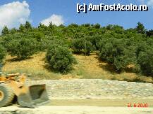 [P13] maslini pe dealuri si lucrari de largire a drumului » foto by cosminp
 - 
<span class="allrVoted glyphicon glyphicon-heart hidden" id="av104116"></span>
<a class="m-l-10 hidden" id="sv104116" onclick="voting_Foto_DelVot(,104116,6593)" role="button">șterge vot <span class="glyphicon glyphicon-remove"></span></a>
<a id="v9104116" class=" c-red"  onclick="voting_Foto_SetVot(104116)" role="button"><span class="glyphicon glyphicon-heart-empty"></span> <b>LIKE</b> = Votează poza</a> <img class="hidden"  id="f104116W9" src="/imagini/loader.gif" border="0" /><span class="AjErrMes hidden" id="e104116ErM"></span>