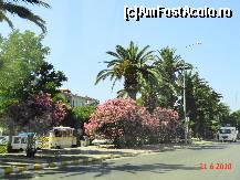 [P33] strada din Ayvalik » foto by cosminp
 - 
<span class="allrVoted glyphicon glyphicon-heart hidden" id="av104589"></span>
<a class="m-l-10 hidden" id="sv104589" onclick="voting_Foto_DelVot(,104589,6593)" role="button">șterge vot <span class="glyphicon glyphicon-remove"></span></a>
<a id="v9104589" class=" c-red"  onclick="voting_Foto_SetVot(104589)" role="button"><span class="glyphicon glyphicon-heart-empty"></span> <b>LIKE</b> = Votează poza</a> <img class="hidden"  id="f104589W9" src="/imagini/loader.gif" border="0" /><span class="AjErrMes hidden" id="e104589ErM"></span>
