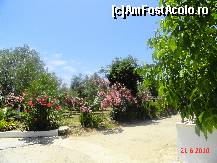 [P43] gradina cu flori in Kusadasi » foto by cosminp
 - 
<span class="allrVoted glyphicon glyphicon-heart hidden" id="av104609"></span>
<a class="m-l-10 hidden" id="sv104609" onclick="voting_Foto_DelVot(,104609,6593)" role="button">șterge vot <span class="glyphicon glyphicon-remove"></span></a>
<a id="v9104609" class=" c-red"  onclick="voting_Foto_SetVot(104609)" role="button"><span class="glyphicon glyphicon-heart-empty"></span> <b>LIKE</b> = Votează poza</a> <img class="hidden"  id="f104609W9" src="/imagini/loader.gif" border="0" /><span class="AjErrMes hidden" id="e104609ErM"></span>