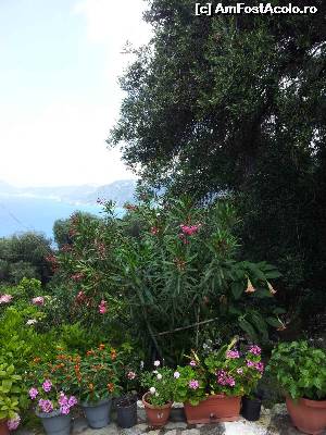 [P02] Flori si verdeata in Pentati Village / Sea view din Pentati » foto by FrancescaClara
 - 
<span class="allrVoted glyphicon glyphicon-heart hidden" id="av517950"></span>
<a class="m-l-10 hidden" id="sv517950" onclick="voting_Foto_DelVot(,517950,6598)" role="button">șterge vot <span class="glyphicon glyphicon-remove"></span></a>
<a id="v9517950" class=" c-red"  onclick="voting_Foto_SetVot(517950)" role="button"><span class="glyphicon glyphicon-heart-empty"></span> <b>LIKE</b> = Votează poza</a> <img class="hidden"  id="f517950W9" src="/imagini/loader.gif" border="0" /><span class="AjErrMes hidden" id="e517950ErM"></span>
