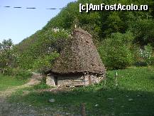 [P01]  -- <small>// FĂRĂ DESCRIERE</small> » foto by chucky31*
 - 
<span class="allrVoted glyphicon glyphicon-heart hidden" id="av187464"></span>
<a class="m-l-10 hidden" id="sv187464" onclick="voting_Foto_DelVot(,187464,6602)" role="button">șterge vot <span class="glyphicon glyphicon-remove"></span></a>
<a id="v9187464" class=" c-red"  onclick="voting_Foto_SetVot(187464)" role="button"><span class="glyphicon glyphicon-heart-empty"></span> <b>LIKE</b> = Votează poza</a> <img class="hidden"  id="f187464W9" src="/imagini/loader.gif" border="0" /><span class="AjErrMes hidden" id="e187464ErM"></span>
