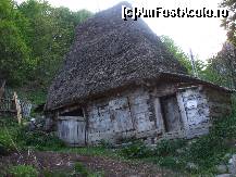 [P11] o casuta tipica de bastinasi » foto by chucky31*
 - 
<span class="allrVoted glyphicon glyphicon-heart hidden" id="av187474"></span>
<a class="m-l-10 hidden" id="sv187474" onclick="voting_Foto_DelVot(,187474,6602)" role="button">șterge vot <span class="glyphicon glyphicon-remove"></span></a>
<a id="v9187474" class=" c-red"  onclick="voting_Foto_SetVot(187474)" role="button"><span class="glyphicon glyphicon-heart-empty"></span> <b>LIKE</b> = Votează poza</a> <img class="hidden"  id="f187474W9" src="/imagini/loader.gif" border="0" /><span class="AjErrMes hidden" id="e187474ErM"></span>