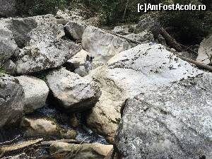 [P54] zona de bolovani » foto by Dan&Ema
 - 
<span class="allrVoted glyphicon glyphicon-heart hidden" id="av663780"></span>
<a class="m-l-10 hidden" id="sv663780" onclick="voting_Foto_DelVot(,663780,6602)" role="button">șterge vot <span class="glyphicon glyphicon-remove"></span></a>
<a id="v9663780" class=" c-red"  onclick="voting_Foto_SetVot(663780)" role="button"><span class="glyphicon glyphicon-heart-empty"></span> <b>LIKE</b> = Votează poza</a> <img class="hidden"  id="f663780W9" src="/imagini/loader.gif" border="0" /><span class="AjErrMes hidden" id="e663780ErM"></span>