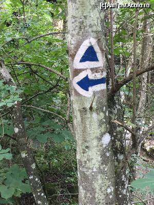 [P59] de aicoi se poate in continua in creasta si pe brana caprelor » foto by Dan&Ema
 - 
<span class="allrVoted glyphicon glyphicon-heart hidden" id="av663788"></span>
<a class="m-l-10 hidden" id="sv663788" onclick="voting_Foto_DelVot(,663788,6602)" role="button">șterge vot <span class="glyphicon glyphicon-remove"></span></a>
<a id="v9663788" class=" c-red"  onclick="voting_Foto_SetVot(663788)" role="button"><span class="glyphicon glyphicon-heart-empty"></span> <b>LIKE</b> = Votează poza</a> <img class="hidden"  id="f663788W9" src="/imagini/loader.gif" border="0" /><span class="AjErrMes hidden" id="e663788ErM"></span>