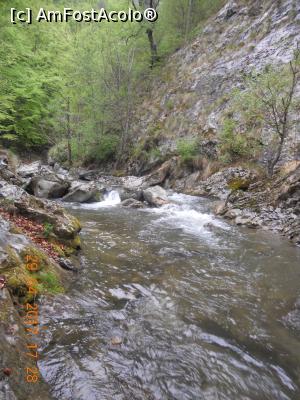 [P20] valea Geoagiului prin Cheile Râmeţulu » foto by zlatna
 - 
<span class="allrVoted glyphicon glyphicon-heart hidden" id="av857184"></span>
<a class="m-l-10 hidden" id="sv857184" onclick="voting_Foto_DelVot(,857184,6602)" role="button">șterge vot <span class="glyphicon glyphicon-remove"></span></a>
<a id="v9857184" class=" c-red"  onclick="voting_Foto_SetVot(857184)" role="button"><span class="glyphicon glyphicon-heart-empty"></span> <b>LIKE</b> = Votează poza</a> <img class="hidden"  id="f857184W9" src="/imagini/loader.gif" border="0" /><span class="AjErrMes hidden" id="e857184ErM"></span>
