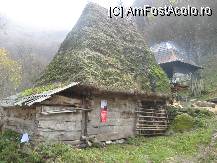 [P14] bordei » foto by dorgo
 - 
<span class="allrVoted glyphicon glyphicon-heart hidden" id="av97800"></span>
<a class="m-l-10 hidden" id="sv97800" onclick="voting_Foto_DelVot(,97800,6602)" role="button">șterge vot <span class="glyphicon glyphicon-remove"></span></a>
<a id="v997800" class=" c-red"  onclick="voting_Foto_SetVot(97800)" role="button"><span class="glyphicon glyphicon-heart-empty"></span> <b>LIKE</b> = Votează poza</a> <img class="hidden"  id="f97800W9" src="/imagini/loader.gif" border="0" /><span class="AjErrMes hidden" id="e97800ErM"></span>