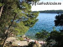 [P06] plaja din Rab (de fapt o alee betonata cu mici portiuni de nisip si piatra din loc in loc) » foto by buhani73
 - 
<span class="allrVoted glyphicon glyphicon-heart hidden" id="av104495"></span>
<a class="m-l-10 hidden" id="sv104495" onclick="voting_Foto_DelVot(,104495,6603)" role="button">șterge vot <span class="glyphicon glyphicon-remove"></span></a>
<a id="v9104495" class=" c-red"  onclick="voting_Foto_SetVot(104495)" role="button"><span class="glyphicon glyphicon-heart-empty"></span> <b>LIKE</b> = Votează poza</a> <img class="hidden"  id="f104495W9" src="/imagini/loader.gif" border="0" /><span class="AjErrMes hidden" id="e104495ErM"></span>