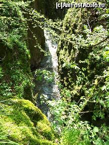 [P09] Cheile Oltetului - Impresionante si pline de verdeata » foto by vali_tulcea
 - 
<span class="allrVoted glyphicon glyphicon-heart hidden" id="av105016"></span>
<a class="m-l-10 hidden" id="sv105016" onclick="voting_Foto_DelVot(,105016,6618)" role="button">șterge vot <span class="glyphicon glyphicon-remove"></span></a>
<a id="v9105016" class=" c-red"  onclick="voting_Foto_SetVot(105016)" role="button"><span class="glyphicon glyphicon-heart-empty"></span> <b>LIKE</b> = Votează poza</a> <img class="hidden"  id="f105016W9" src="/imagini/loader.gif" border="0" /><span class="AjErrMes hidden" id="e105016ErM"></span>