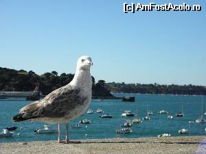 [P06] Frumoasul St Malo » foto by Alesana29
 - 
<span class="allrVoted glyphicon glyphicon-heart hidden" id="av523400"></span>
<a class="m-l-10 hidden" id="sv523400" onclick="voting_Foto_DelVot(,523400,6625)" role="button">șterge vot <span class="glyphicon glyphicon-remove"></span></a>
<a id="v9523400" class=" c-red"  onclick="voting_Foto_SetVot(523400)" role="button"><span class="glyphicon glyphicon-heart-empty"></span> <b>LIKE</b> = Votează poza</a> <img class="hidden"  id="f523400W9" src="/imagini/loader.gif" border="0" /><span class="AjErrMes hidden" id="e523400ErM"></span>