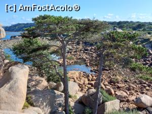 [P36] Coasta de Granit Roz » foto by Mika
 - 
<span class="allrVoted glyphicon glyphicon-heart hidden" id="av1258475"></span>
<a class="m-l-10 hidden" id="sv1258475" onclick="voting_Foto_DelVot(,1258475,6625)" role="button">șterge vot <span class="glyphicon glyphicon-remove"></span></a>
<a id="v91258475" class=" c-red"  onclick="voting_Foto_SetVot(1258475)" role="button"><span class="glyphicon glyphicon-heart-empty"></span> <b>LIKE</b> = Votează poza</a> <img class="hidden"  id="f1258475W9" src="/imagini/loader.gif" border="0" /><span class="AjErrMes hidden" id="e1258475ErM"></span>