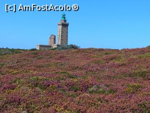 [P12] Cap Frehel - și mlaștinile colorate in roz » foto by Mika
 - 
<span class="allrVoted glyphicon glyphicon-heart hidden" id="av1280264"></span>
<a class="m-l-10 hidden" id="sv1280264" onclick="voting_Foto_DelVot(,1280264,6625)" role="button">șterge vot <span class="glyphicon glyphicon-remove"></span></a>
<a id="v91280264" class=" c-red"  onclick="voting_Foto_SetVot(1280264)" role="button"><span class="glyphicon glyphicon-heart-empty"></span> <b>LIKE</b> = Votează poza</a> <img class="hidden"  id="f1280264W9" src="/imagini/loader.gif" border="0" /><span class="AjErrMes hidden" id="e1280264ErM"></span>