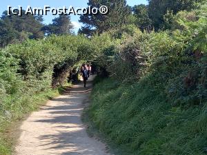 [P16] Coasta de Granit Roz » foto by Mika
 - 
<span class="allrVoted glyphicon glyphicon-heart hidden" id="av1280268"></span>
<a class="m-l-10 hidden" id="sv1280268" onclick="voting_Foto_DelVot(,1280268,6625)" role="button">șterge vot <span class="glyphicon glyphicon-remove"></span></a>
<a id="v91280268" class=" c-red"  onclick="voting_Foto_SetVot(1280268)" role="button"><span class="glyphicon glyphicon-heart-empty"></span> <b>LIKE</b> = Votează poza</a> <img class="hidden"  id="f1280268W9" src="/imagini/loader.gif" border="0" /><span class="AjErrMes hidden" id="e1280268ErM"></span>