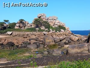 [P17] Coasta de Granit Roz » foto by Mika
 - 
<span class="allrVoted glyphicon glyphicon-heart hidden" id="av1280269"></span>
<a class="m-l-10 hidden" id="sv1280269" onclick="voting_Foto_DelVot(,1280269,6625)" role="button">șterge vot <span class="glyphicon glyphicon-remove"></span></a>
<a id="v91280269" class=" c-red"  onclick="voting_Foto_SetVot(1280269)" role="button"><span class="glyphicon glyphicon-heart-empty"></span> <b>LIKE</b> = Votează poza</a> <img class="hidden"  id="f1280269W9" src="/imagini/loader.gif" border="0" /><span class="AjErrMes hidden" id="e1280269ErM"></span>
