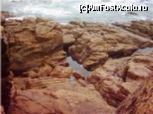 [P17] Intre mare si stanca de bazalt se da o lupta continua » foto by dorgo
 - 
<span class="allrVoted glyphicon glyphicon-heart hidden" id="av105236"></span>
<a class="m-l-10 hidden" id="sv105236" onclick="voting_Foto_DelVot(,105236,6625)" role="button">șterge vot <span class="glyphicon glyphicon-remove"></span></a>
<a id="v9105236" class=" c-red"  onclick="voting_Foto_SetVot(105236)" role="button"><span class="glyphicon glyphicon-heart-empty"></span> <b>LIKE</b> = Votează poza</a> <img class="hidden"  id="f105236W9" src="/imagini/loader.gif" border="0" /><span class="AjErrMes hidden" id="e105236ErM"></span>
