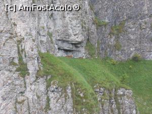 [P12] Ceahlău - Două capre sălbatice la adăpost de stâncă. » foto by iulianic
 - 
<span class="allrVoted glyphicon glyphicon-heart hidden" id="av1179813"></span>
<a class="m-l-10 hidden" id="sv1179813" onclick="voting_Foto_DelVot(,1179813,6639)" role="button">șterge vot <span class="glyphicon glyphicon-remove"></span></a>
<a id="v91179813" class=" c-red"  onclick="voting_Foto_SetVot(1179813)" role="button"><span class="glyphicon glyphicon-heart-empty"></span> <b>LIKE</b> = Votează poza</a> <img class="hidden"  id="f1179813W9" src="/imagini/loader.gif" border="0" /><span class="AjErrMes hidden" id="e1179813ErM"></span>